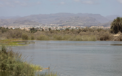 El Cabildo de Gran Canaria y Canaragua participan en el proyecto europeo ‘Natalie’ sobre resiliencia al cambio climático