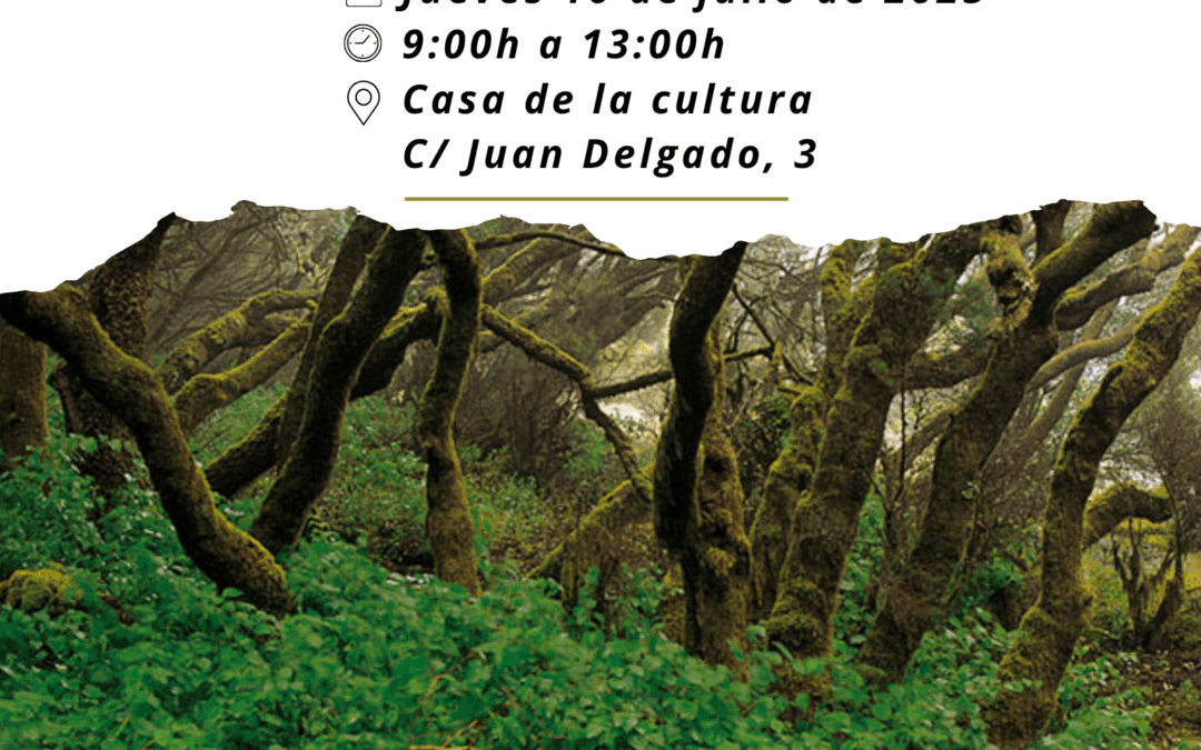 1ª Oficina Itinerante Moya