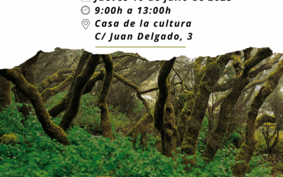 1ª Oficina Itinerante Moya